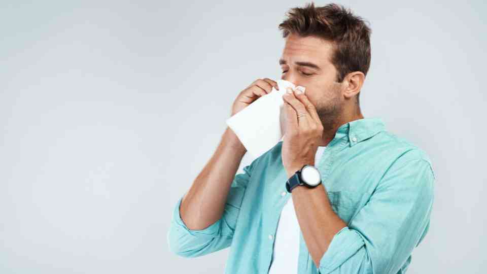 Battling Hay Fever: A Guide from Junction Pharmacy